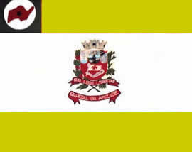 Bandeira de Novo Horizonte