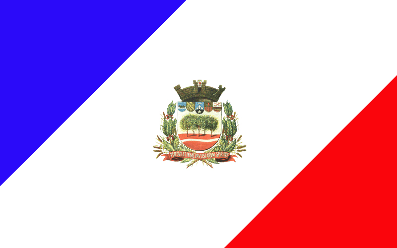 Bandeira de {{CIDADE}}