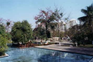 Vista de Amparo