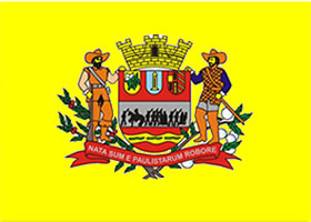 Bandeira de Mogi Mirim